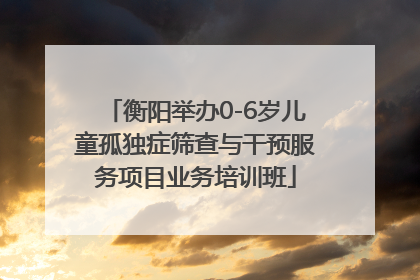 衡阳举办0-6岁儿童孤独症筛查与干预服务项目业务培训班