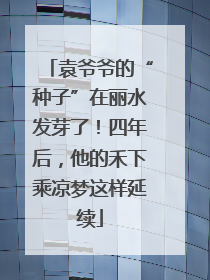 袁爷爷的“种子”在丽水发芽了！四年后，他的禾下乘凉梦这样延续