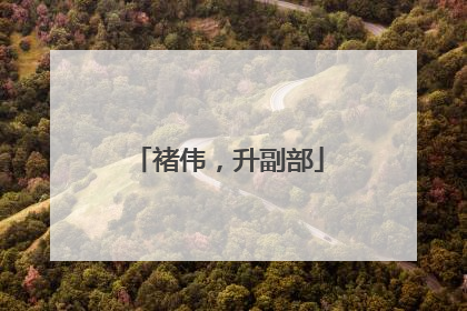 褚伟，升副部