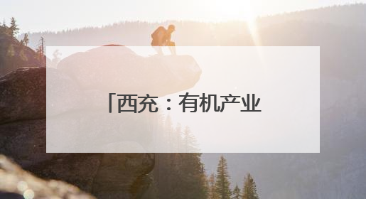 西充：有机产业深度融合 绘就乡村振兴新画卷