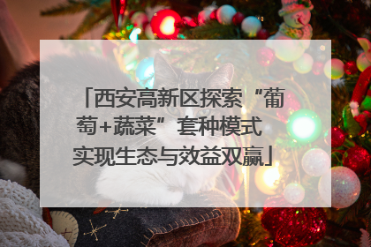 西安高新区探索“葡萄+蔬菜”套种模式 实现生态与效益双赢