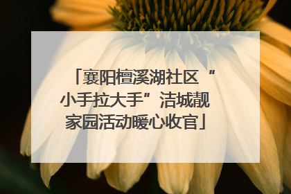 襄阳檀溪湖社区“小手拉大手”洁城靓家园活动暖心收官