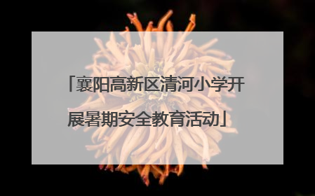 襄阳高新区清河小学开展暑期安全教育活动
