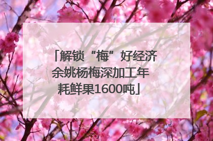 解锁“梅”好经济 余姚杨梅深加工年耗鲜果1600吨