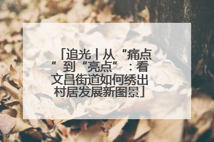 追光丨从“痛点”到“亮点”：看文昌街道如何绣出村居发展新图景