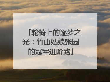 轮椅上的逐梦之光：竹山姑娘张园的冠军进阶路