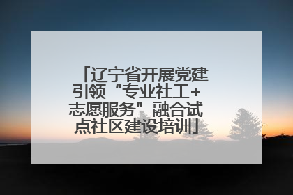 辽宁省开展党建引领“专业社工+志愿服务”融合试点社区建设培训