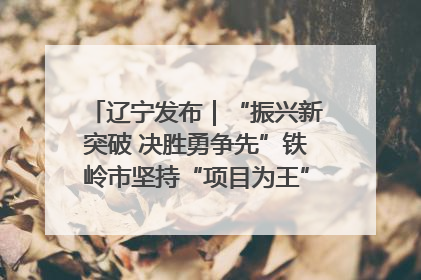 辽宁发布｜“振兴新突破 决胜勇争先”铁岭市坚持“项目为王”推进经济高质量发展