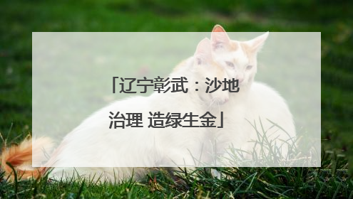 辽宁彰武：沙地治理 造绿生金