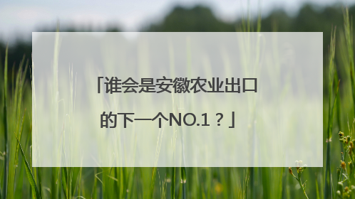 谁会是安徽农业出口的下一个NO.1？