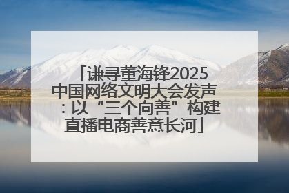 谦寻董海锋2025中国网络文明大会发声：以“三个向善”构建直播电商善意长河