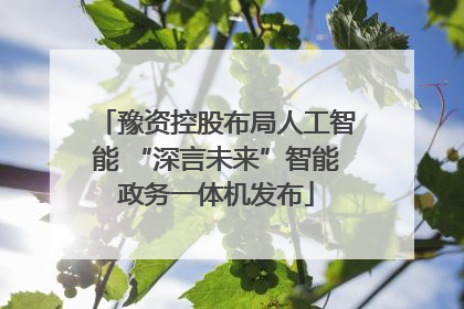 豫资控股布局人工智能 “深言未来”智能政务一体机发布