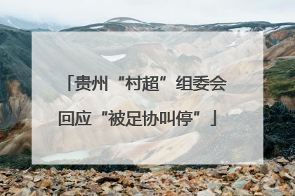 贵州“村超”组委会回应“被足协叫停”