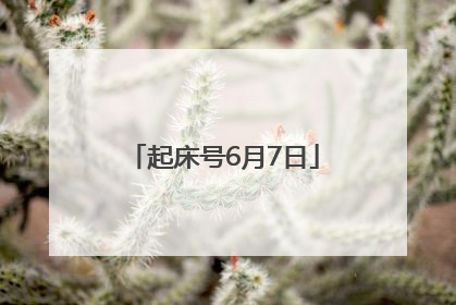 起床号6月7日