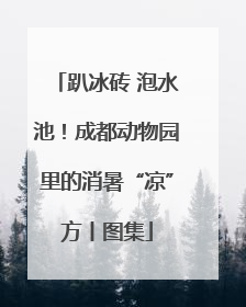 趴冰砖 泡水池！成都动物园里的消暑“凉”方丨图集