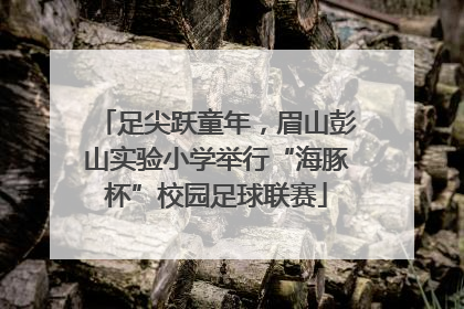 足尖跃童年，眉山彭山实验小学举行“海豚杯”校园足球联赛