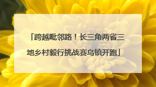 跨越毗邻路！长三角两省三地乡村毅行挑战赛乌镇开跑