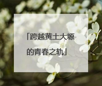 跨越黄土大塬的青春之轨