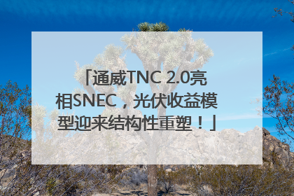 通威TNC 2.0亮相SNEC，光伏收益模型迎来结构性重塑！
