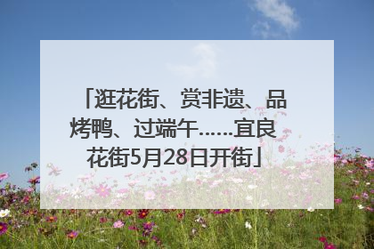 逛花街、赏非遗、品烤鸭、过端午……宜良花街5月28日开街