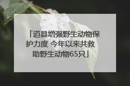 道县增强野生动物保护力度 今年以来共救助野生动物65只
