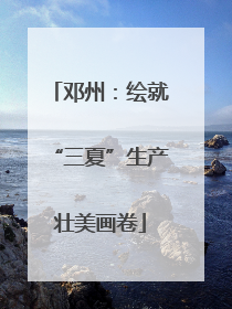 邓州：绘就“三夏”生产壮美画卷