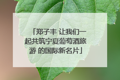 郑子丰 让我们一起共筑宁夏葡萄酒旅游 的国际新名片