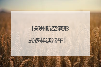 郑州航空港形式多样迎端午