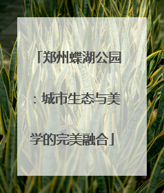郑州蝶湖公园：城市生态与美学的完美融合