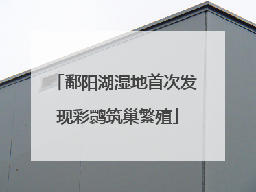 鄱阳湖湿地首次发现彩鹮筑巢繁殖