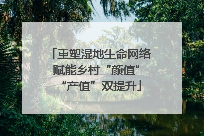 重塑湿地生命网络 赋能乡村“颜值”“产值”双提升