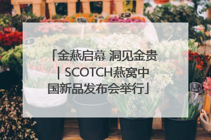 金燕启幕 洞见金贵｜SCOTCH燕窝中国新品发布会举行