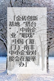 金砖创新基地“搭台”，中南企业“唱戏” 中国（厦门）-南非中小企业对接会在厦举办
