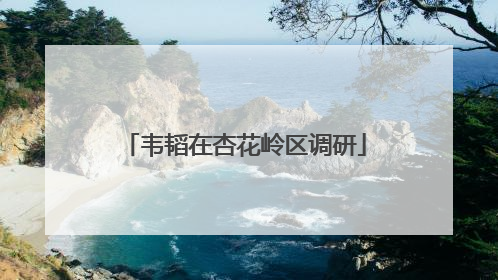韦韬在杏花岭区调研