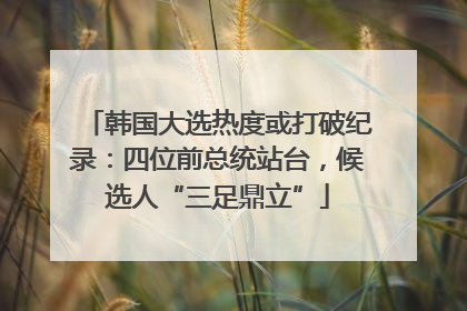 韩国大选热度或打破纪录：四位前总统站台，候选人“三足鼎立”
