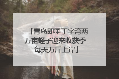 青岛即墨丁字湾两万亩蛏子迎来收获季 每天万斤上岸