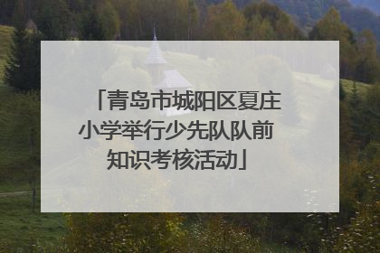 青岛市城阳区夏庄小学举行少先队队前知识考核活动