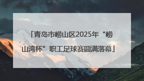 青岛市崂山区2025年“崂山湾杯”职工足球赛圆满落幕