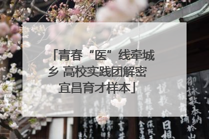青春“医”线牵城乡 高校实践团解密宜昌育才样本