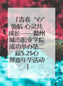 青春“心”领航 心灵共成长——滁州城市职业学院成功举办第二届5.25心理嘉年华活动