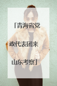 青海省党政代表团来山东考察