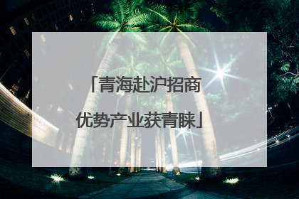 青海赴沪招商 优势产业获青睐