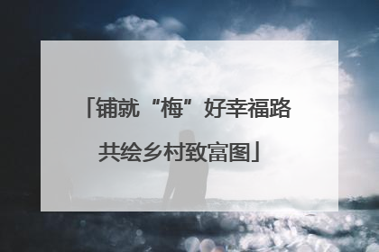 铺就“梅”好幸福路 共绘乡村致富图