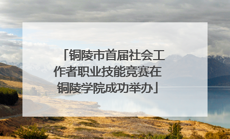 铜陵市首届社会工作者职业技能竞赛在铜陵学院成功举办