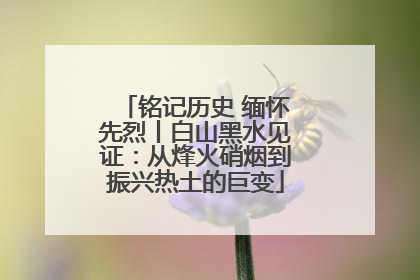铭记历史 缅怀先烈丨白山黑水见证：从烽火硝烟到振兴热土的巨变