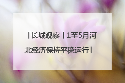 长城观察丨1至5月河北经济保持平稳运行