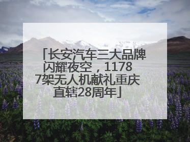 长安汽车三大品牌闪耀夜空，11787架无人机献礼重庆直辖28周年