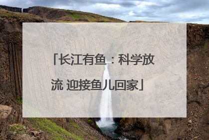 长江有鱼：科学放流 迎接鱼儿回家