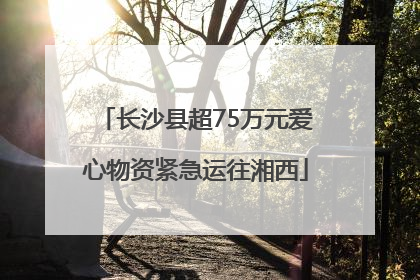 长沙县超75万元爱心物资紧急运往湘西