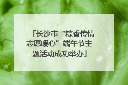 长沙市“粽香传情志愿暖心”端午节主题活动成功举办